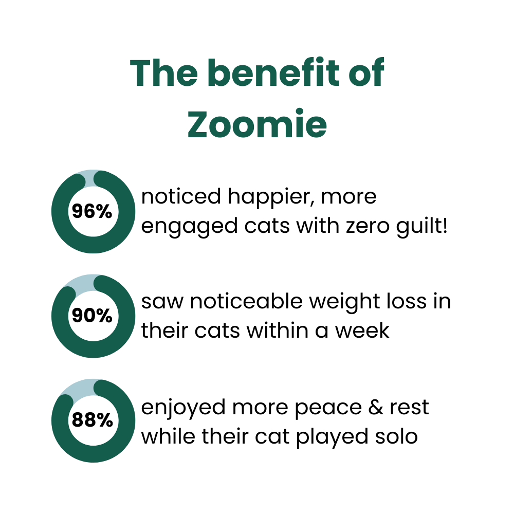 Zoomie™ Automatic Cat Exerciser