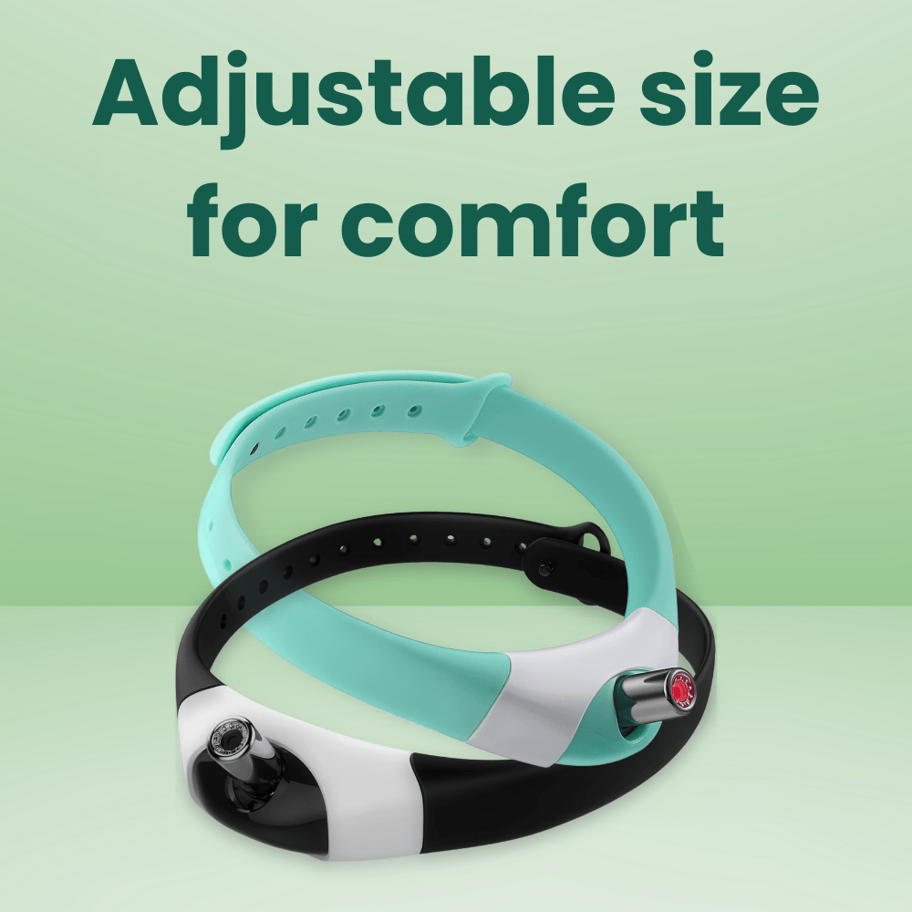 Zoomie™ Automatic Cat Exerciser