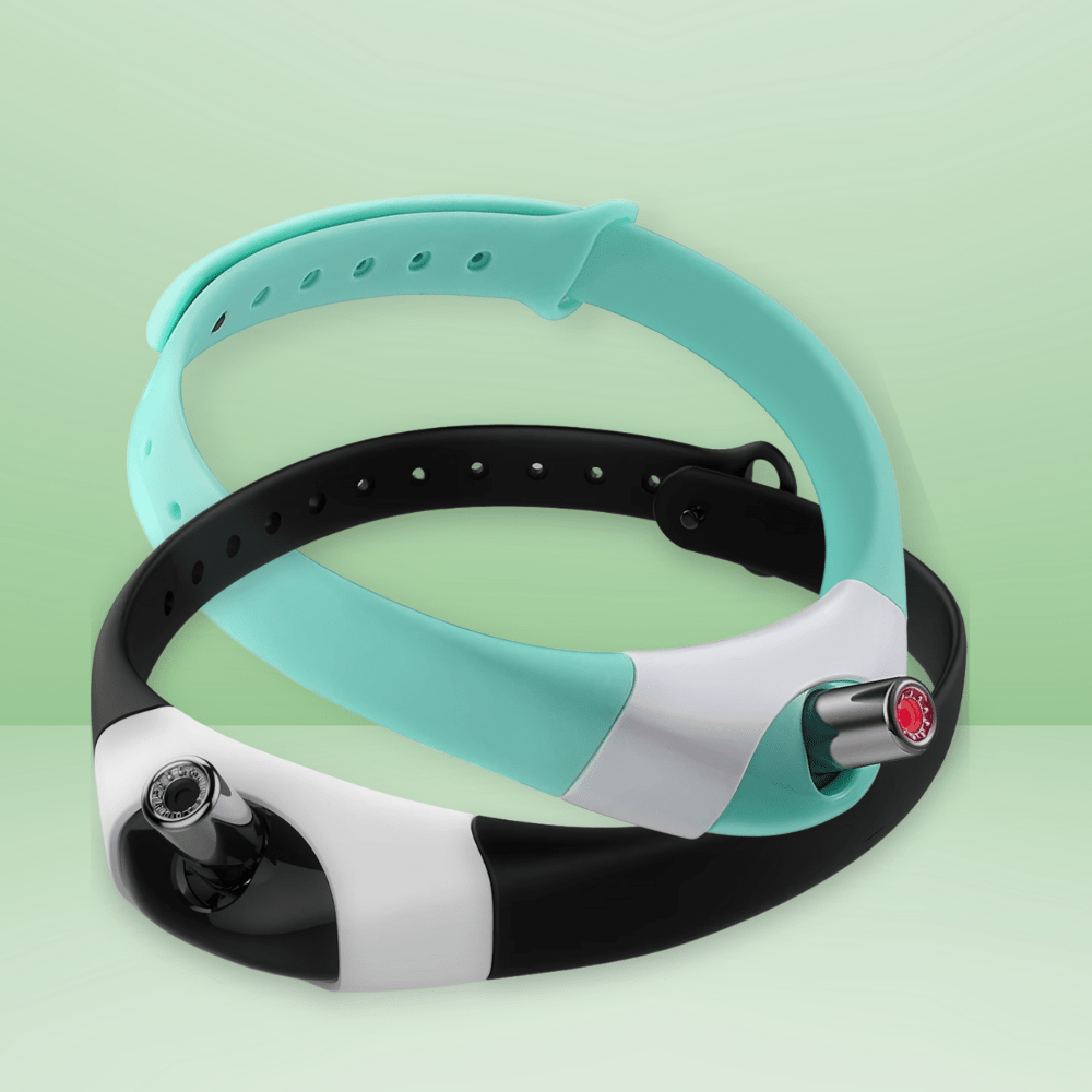 Zoomie™ Automatic Cat Exerciser