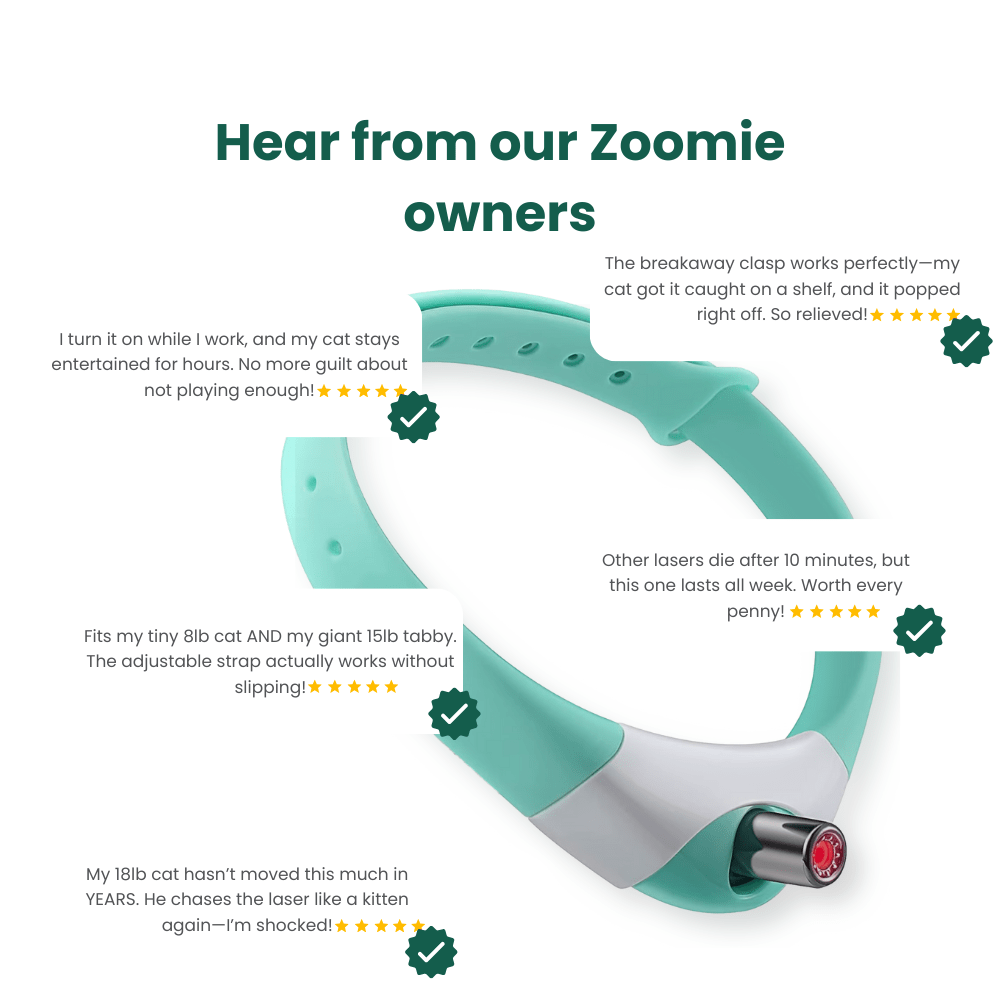 Zoomie™ Automatic Cat Exerciser
