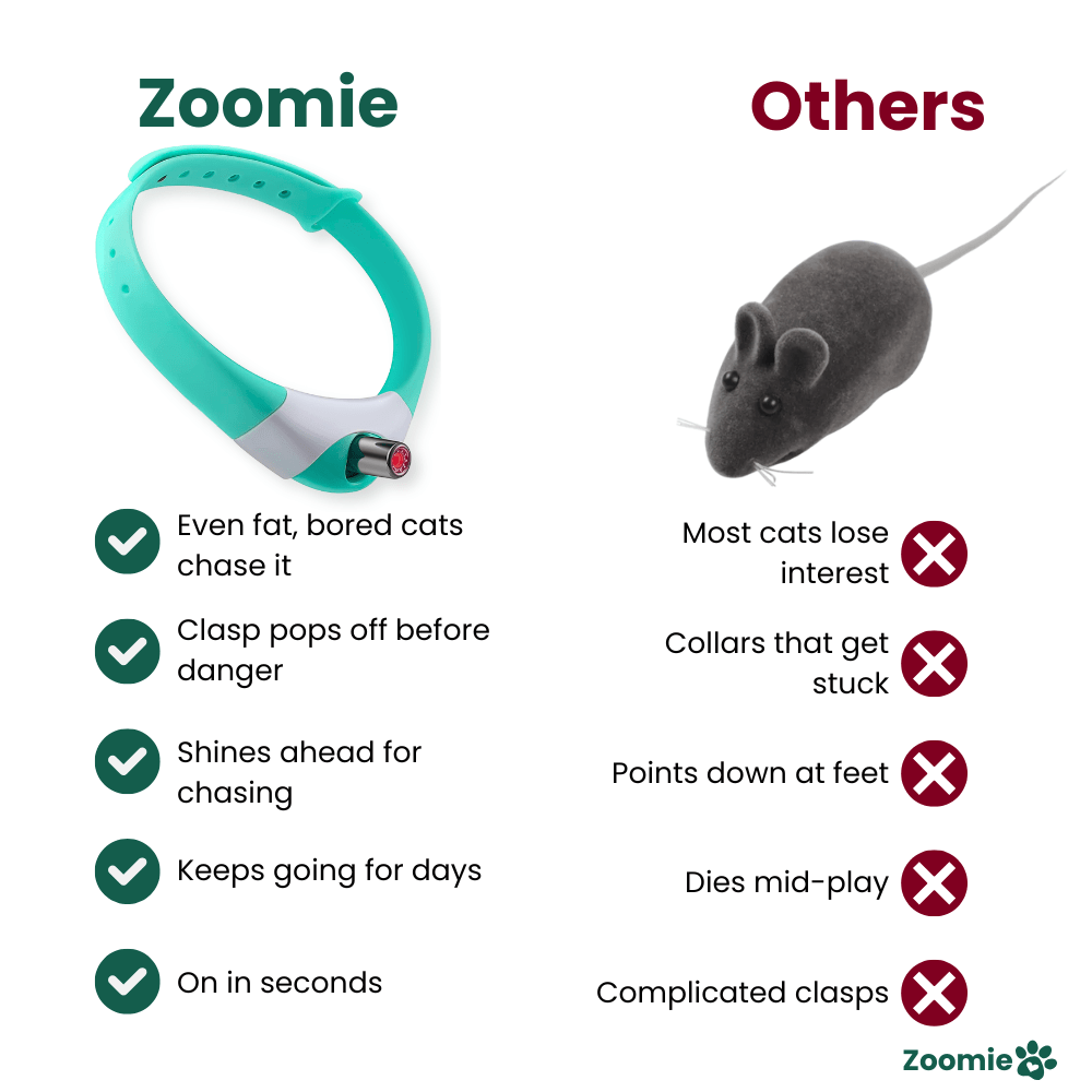 Zoomie™ Automatic Cat Exerciser